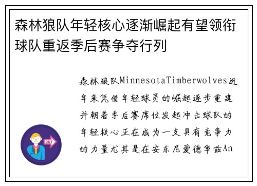 森林狼队年轻核心逐渐崛起有望领衔球队重返季后赛争夺行列
